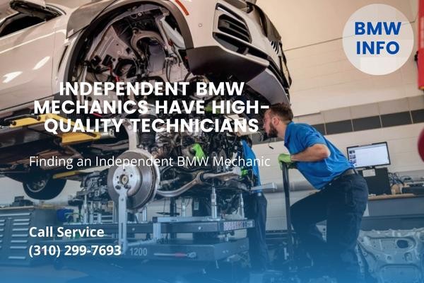Independent BMW mechanics have high-quality technicians