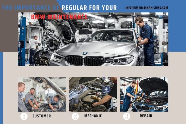 The Importance of Regular for Your BMW Maintenance 2023